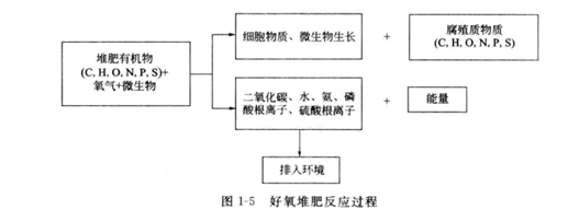 好氧堆肥反應(yīng)過程