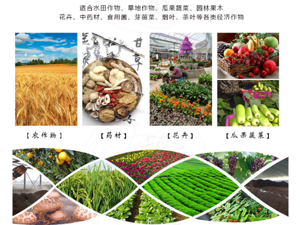 雞糞有機(jī)肥儲(chǔ)存技巧