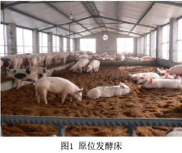 原位發(fā)酵床